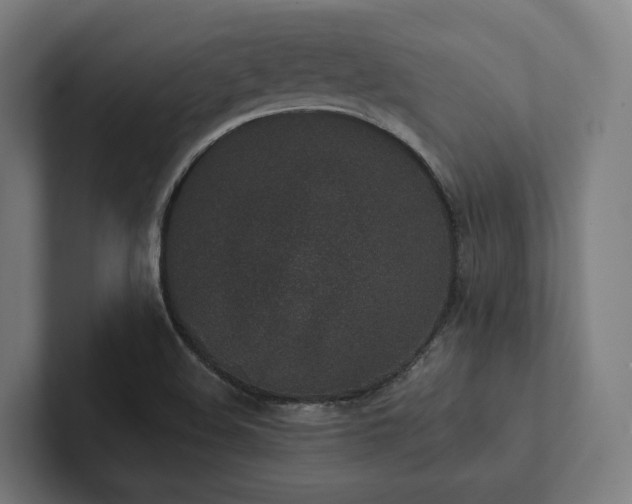X0000102361508200808011441