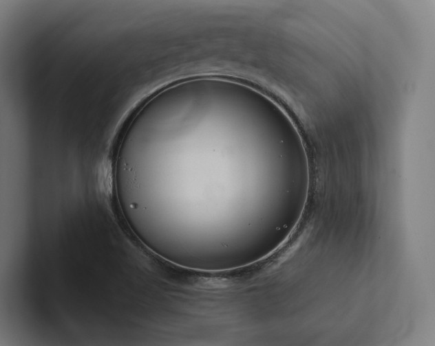 X0000102361509200808011441