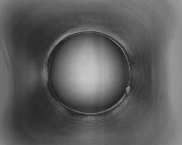 X0000102361510200808011441