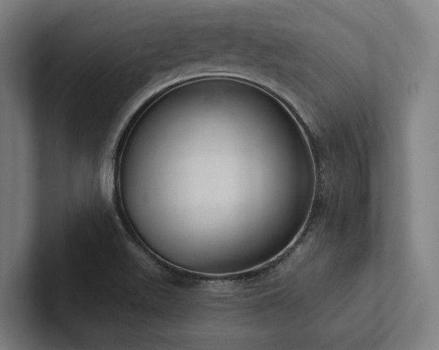 X0000102361511200808011442