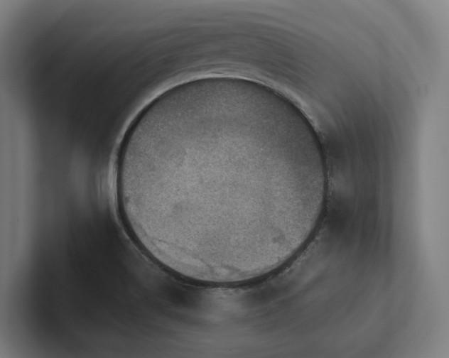 X0000102361514200808011442