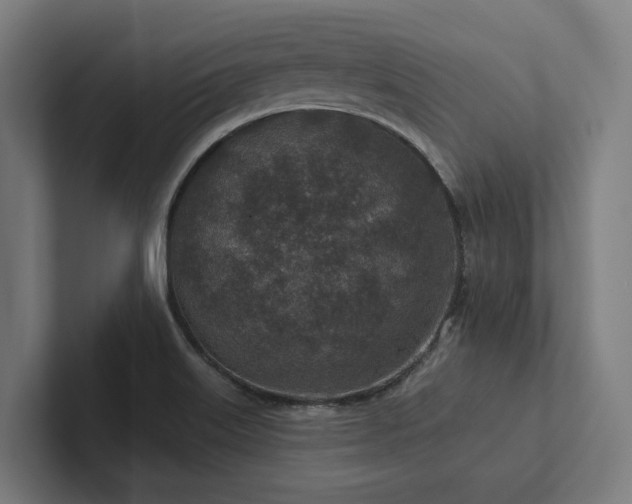 X0000102361515200808011442