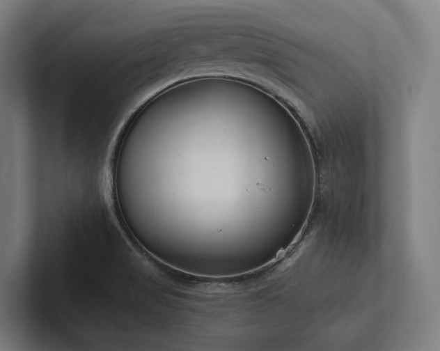 X0000102361517200808011442