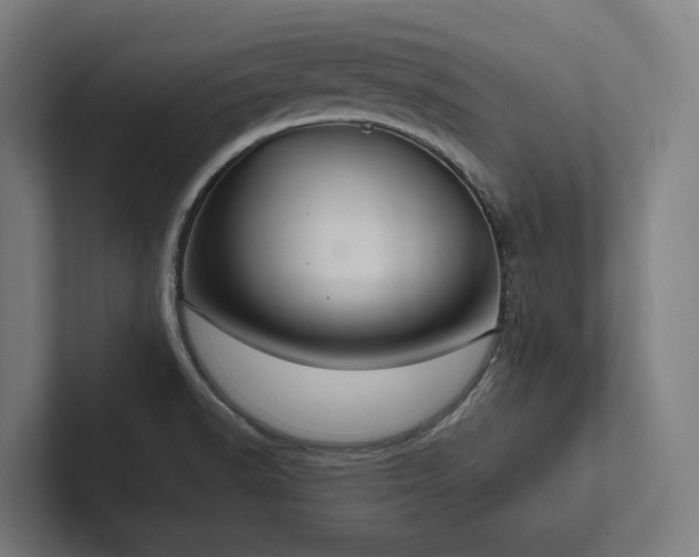 X0000102361518200808011442