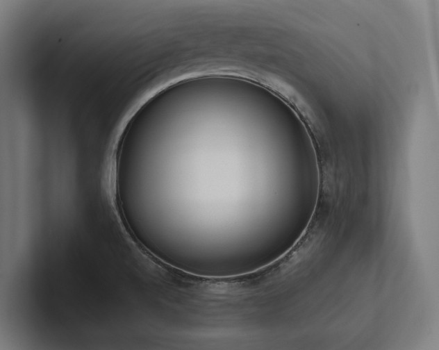 X0000102361520200808011442
