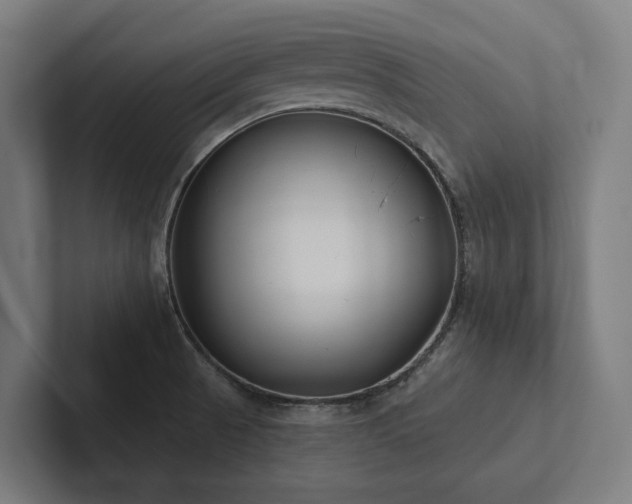 X0000102361521200808011442