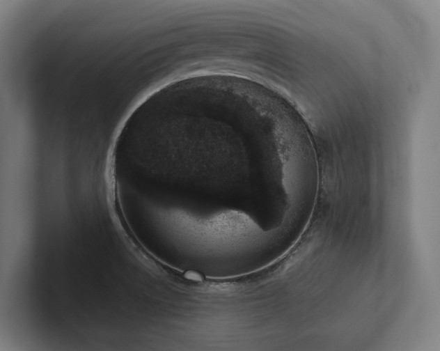 X0000102361522200808011442