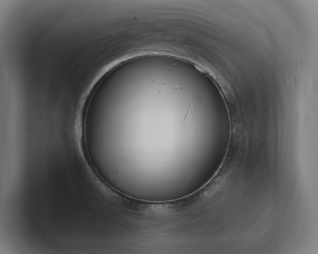 X0000102361523200808011442