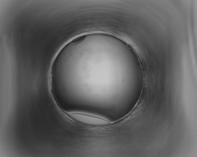 X0000102361524200808011442