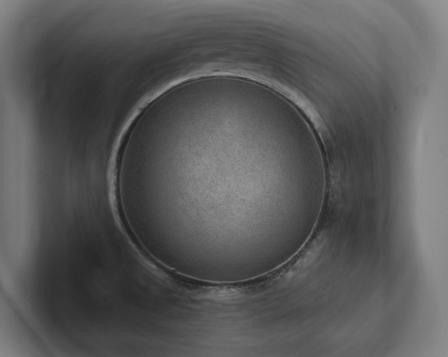 X0000102361525200808011442