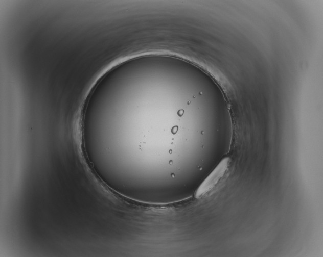X0000102361526200808011442