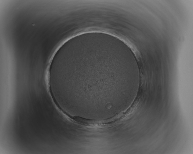 X0000102361527200808011442
