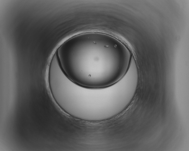 X0000102361528200808011442