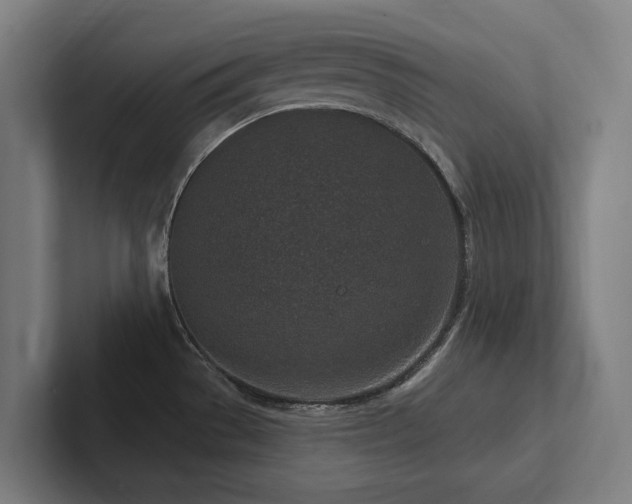 X0000102361529200808011442