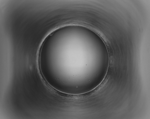 X0000102361530200808011442