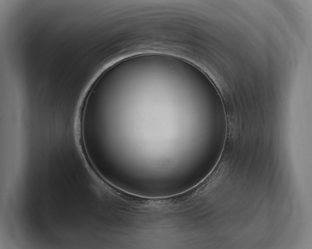 X0000102361531200808011442