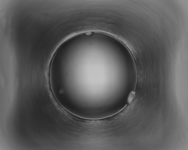 X0000102361534200808011442