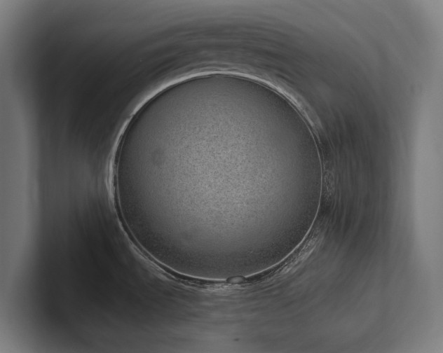 X0000102361535200808011442