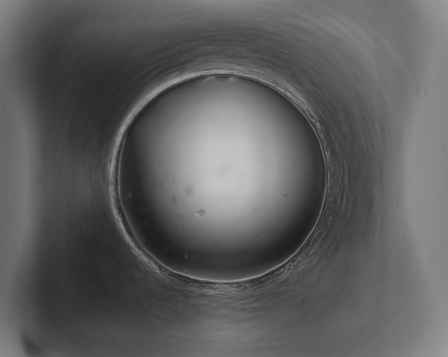 X0000102361536200808011442