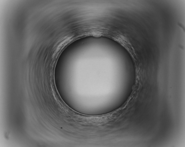 X0000102360001200808081140