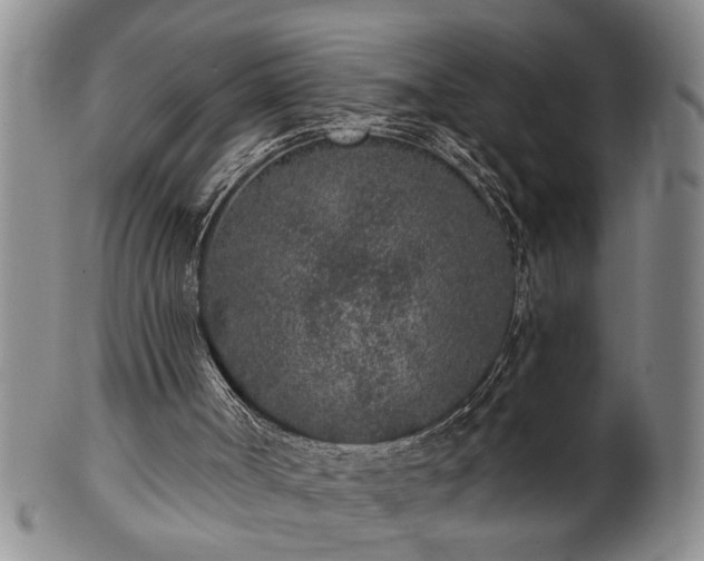 X0000102360002200808081140