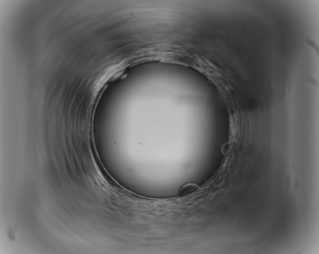 X0000102360003200808081140