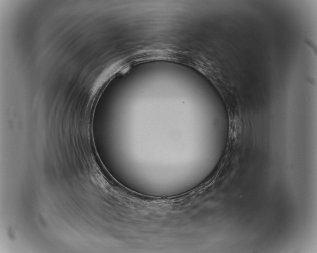 X0000102360004200808081140