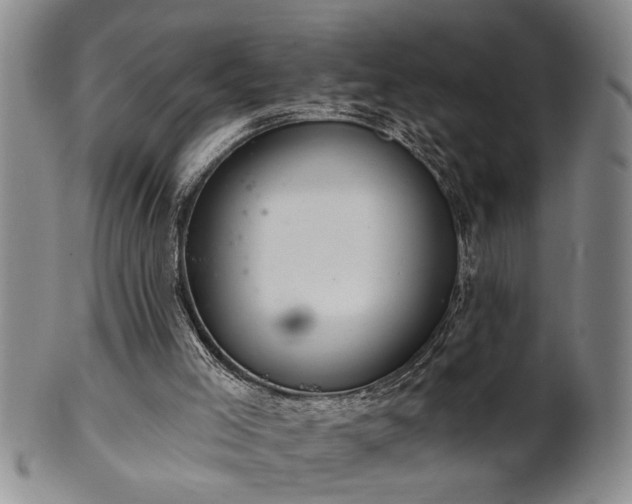 X0000102360005200808081140