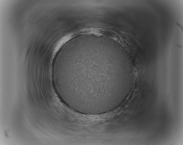 X0000102360006200808081140