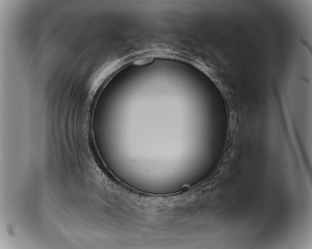 X0000102360007200808081140