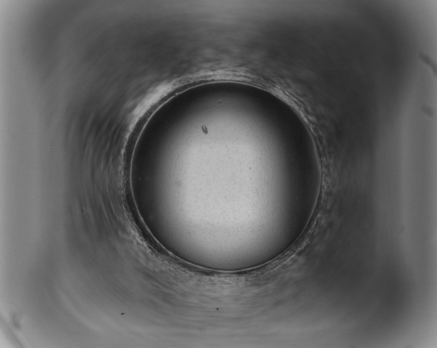 X0000102360008200808081140