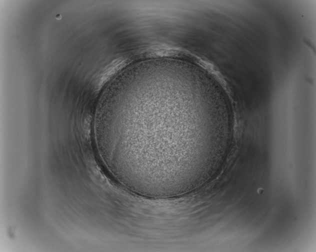 X0000102360010200808081140