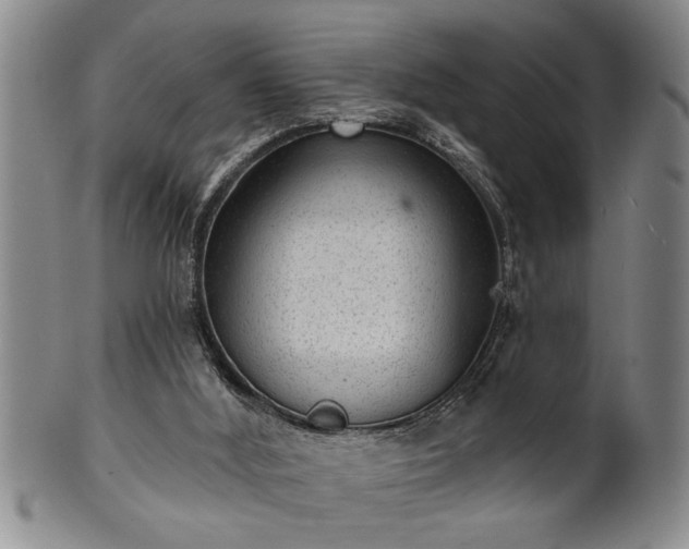 X0000102360012200808081140