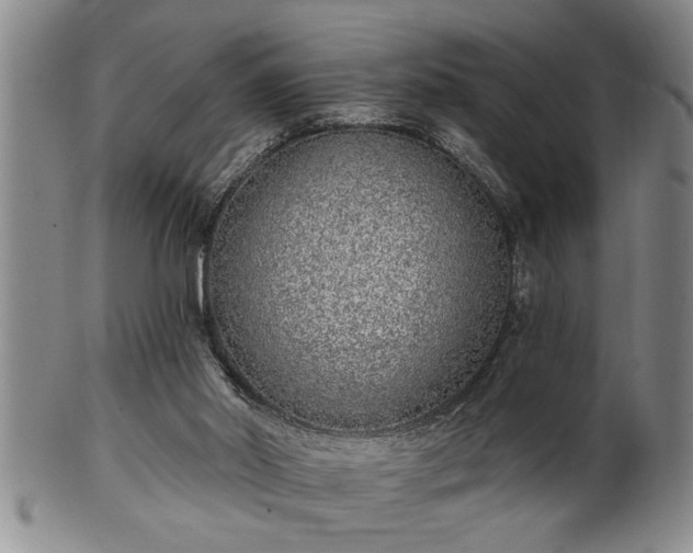 X0000102360014200808081140