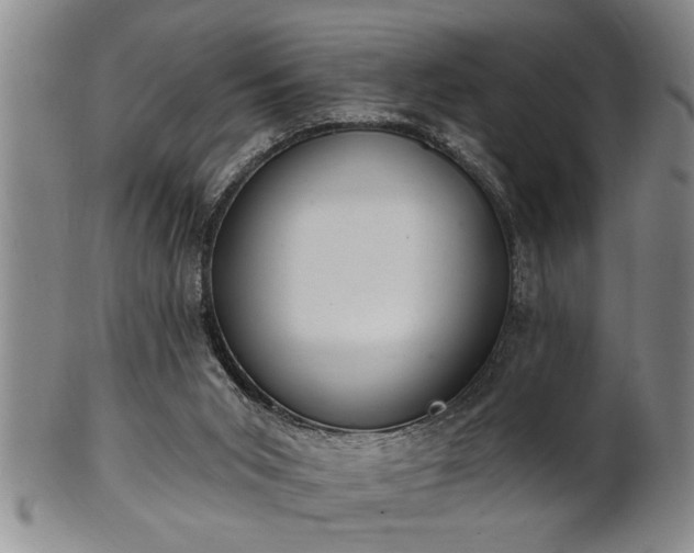 X0000102360015200808081140