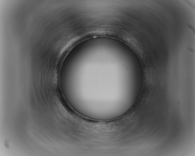 X0000102360016200808081140