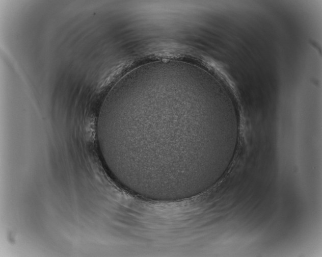 X0000102360017200808081140