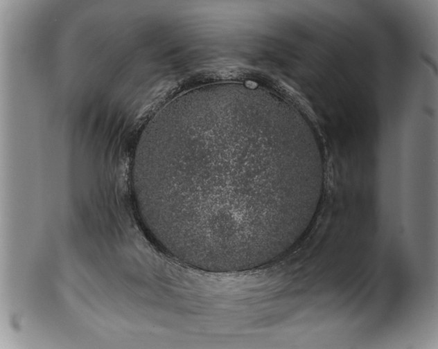 X0000102360018200808081140