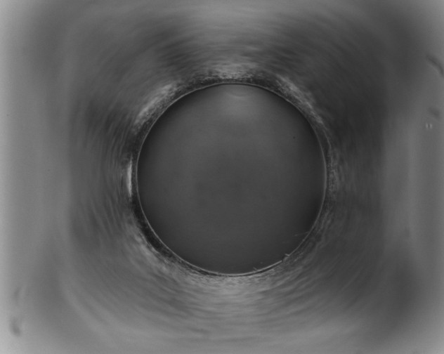 X0000102360019200808081140