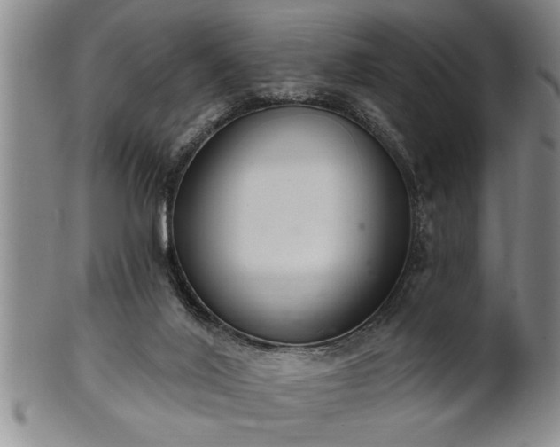 X0000102360020200808081140