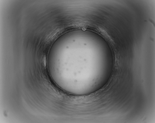 X0000102360021200808081140