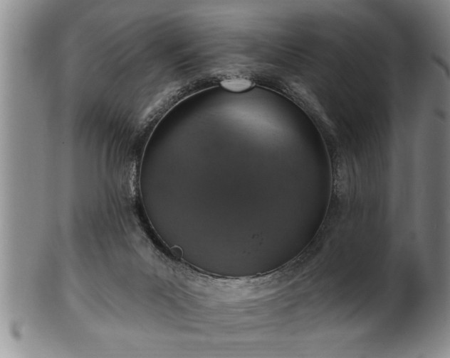 X0000102360023200808081140