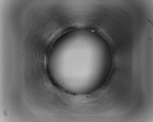 X0000102360024200808081140