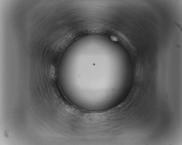 X0000102360025200808081140