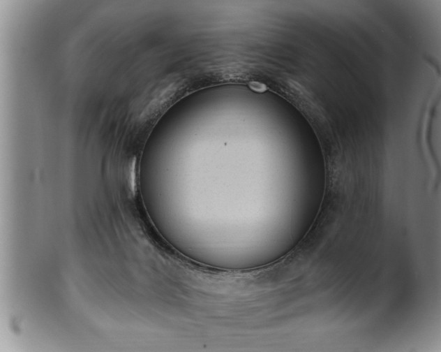 X0000102360028200808081140