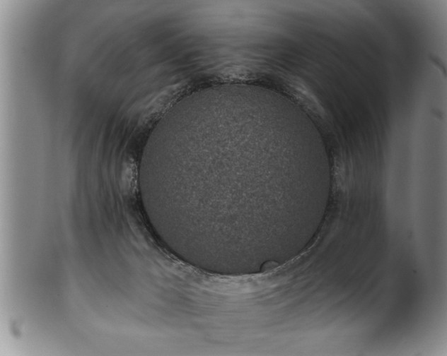 X0000102360029200808081140