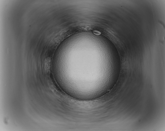 X0000102360030200808081140