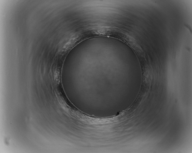 X0000102360031200808081140