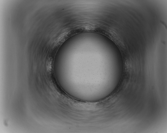 X0000102360032200808081140