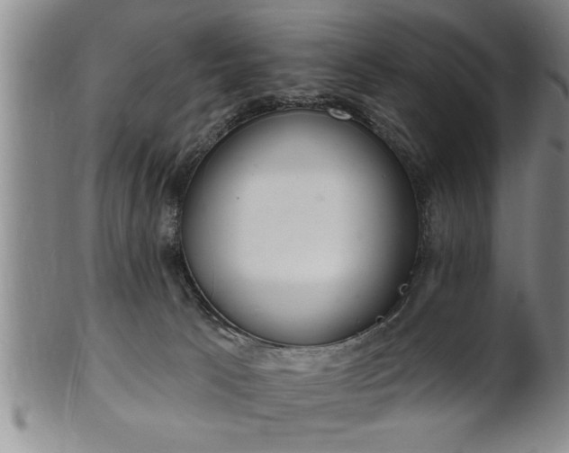 X0000102360033200808081140